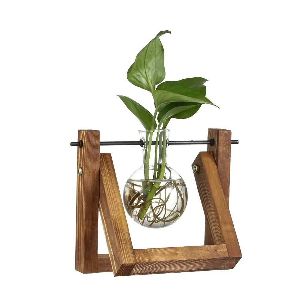 Hydroponic Glass Plant Vases