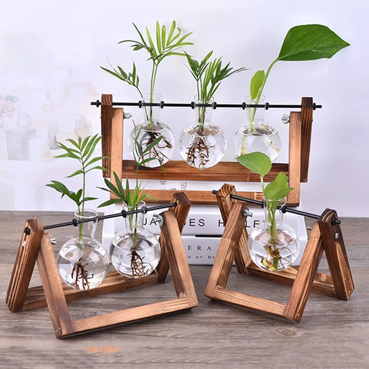 Hydroponic Glass Plant Vases