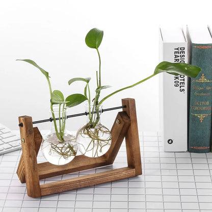 Hydroponic Glass Plant Vases